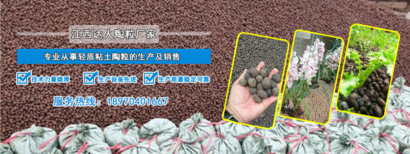 http://m.lswhs.cn